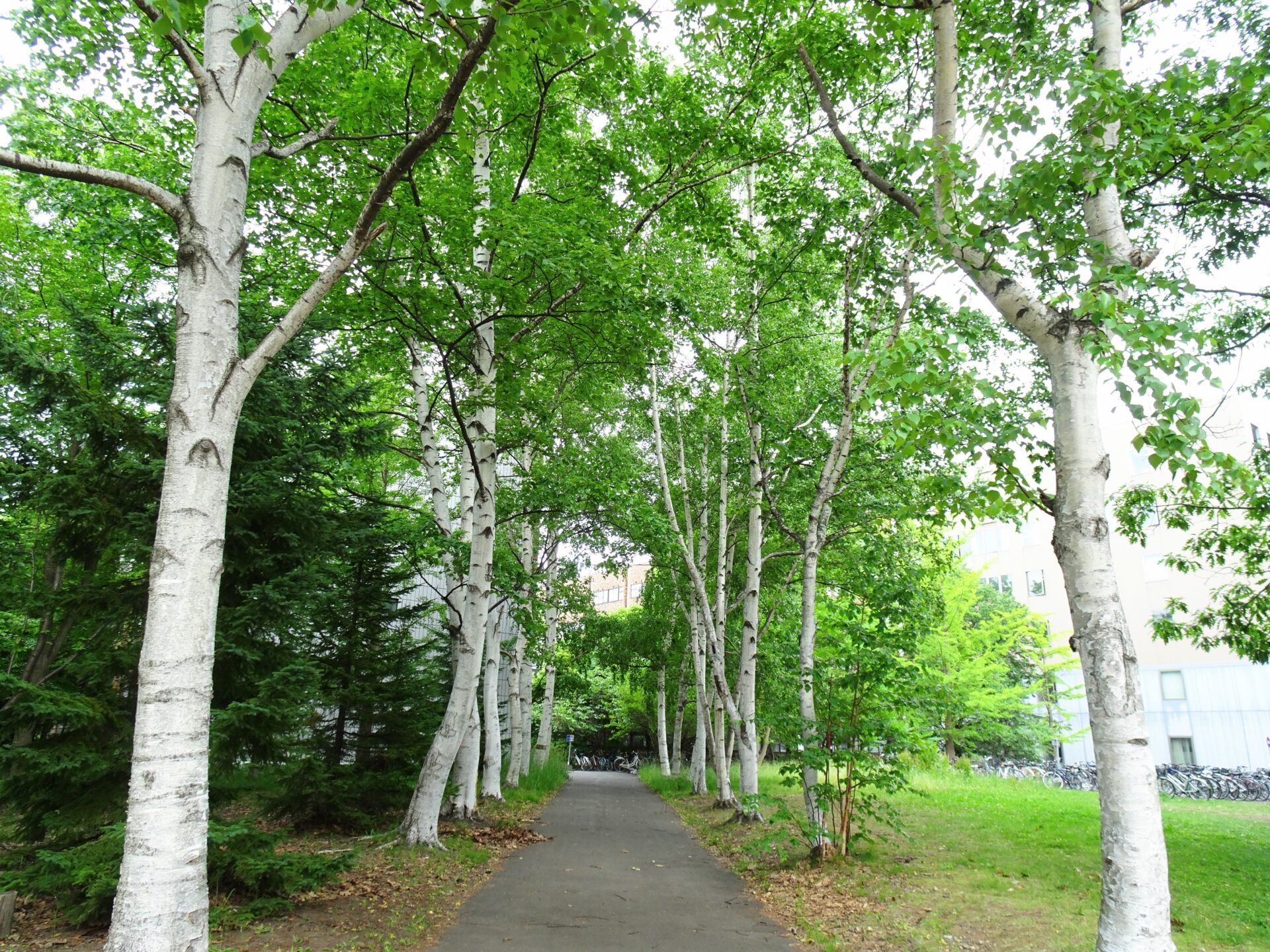 北海道 札幌、中島公園