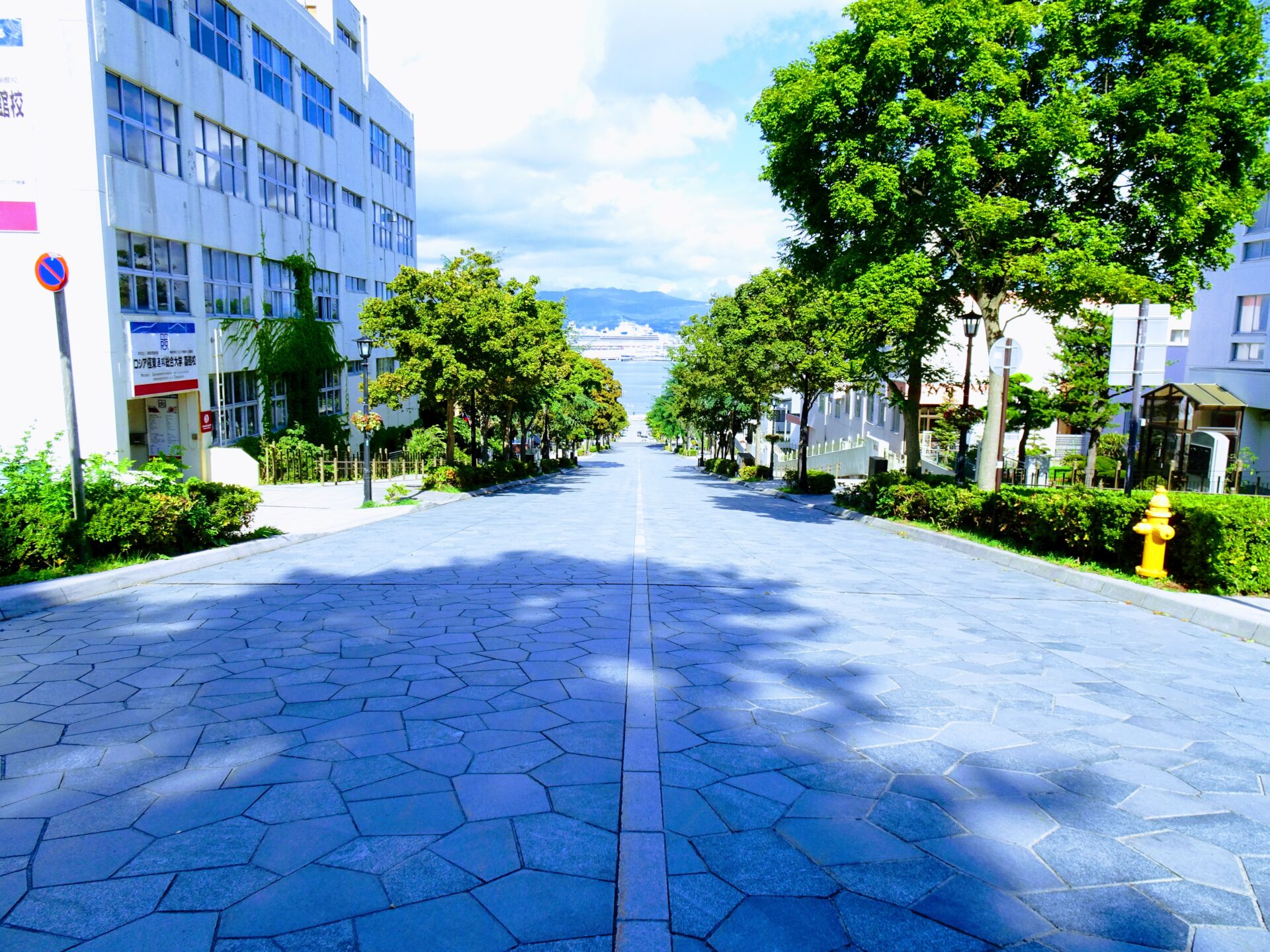 北海道 函館、八幡坂